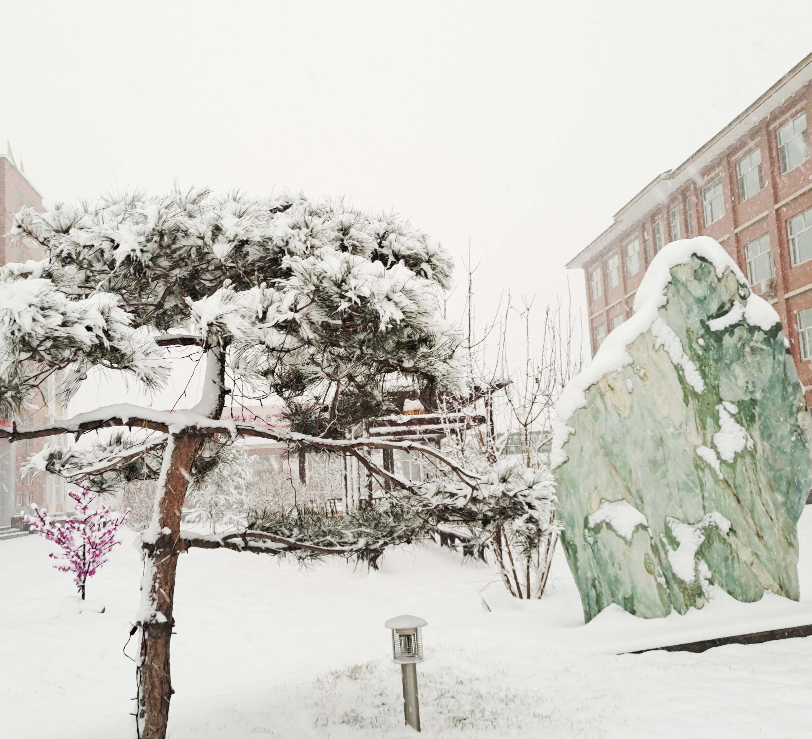 冬雪落春風，沁潤吾心安
